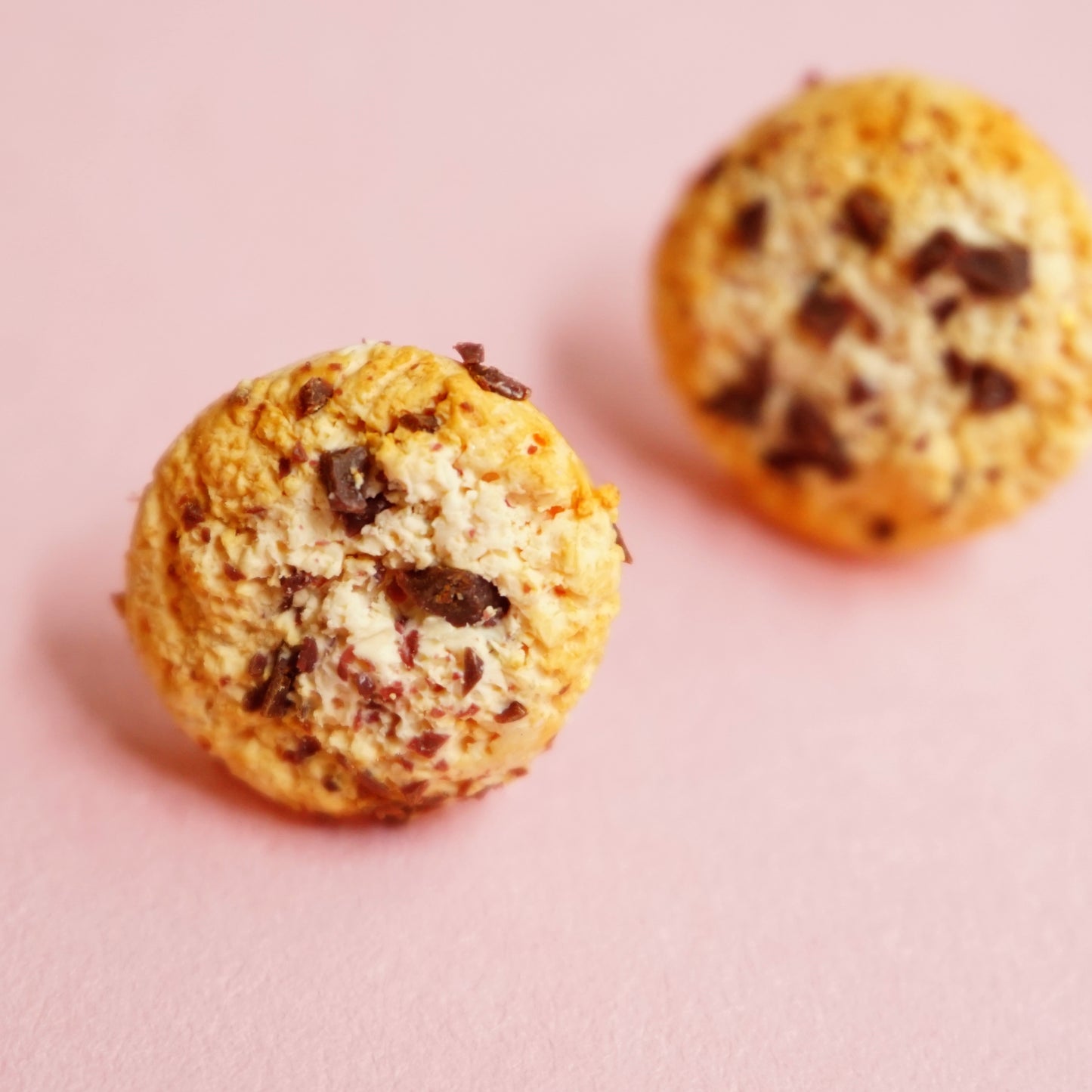 Biscuit Buckler